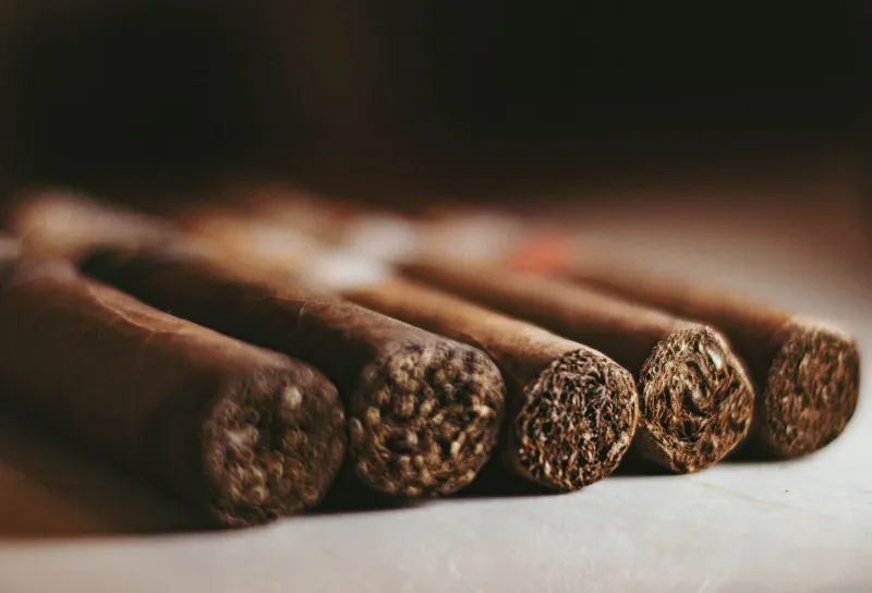 Your Palate vs. Your Ego: The Truth About Blind Tobacco Tastings