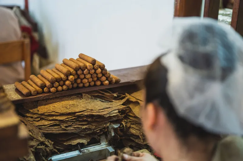 Stop Paying for the Label: How Mid-Range Tobacco Blends Are Winning the Flavor War
