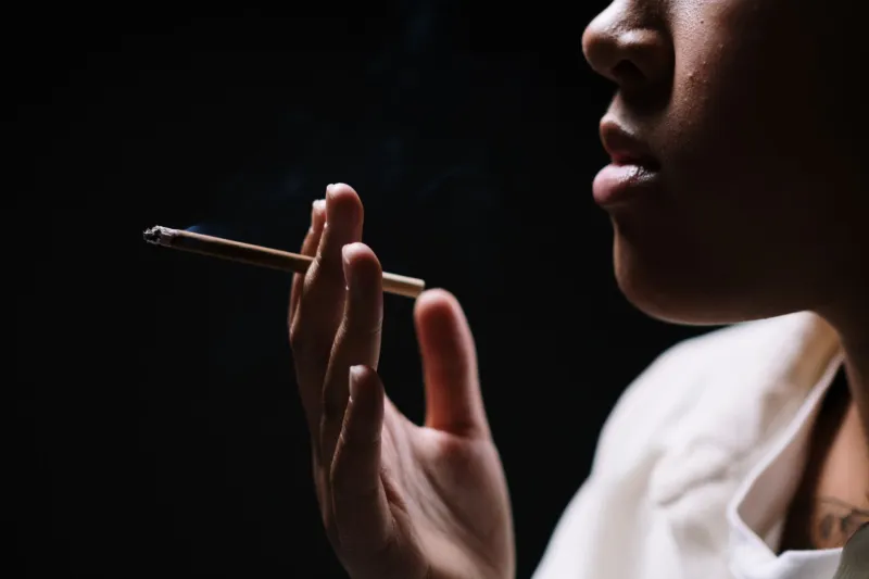 Pipe, Cigar, or Hand-Roll: A Real-World Flavor Showdown for Serious Tobacco Fans